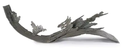 Pilloo Pochkhanawala (Artist), The Wave, Sculpture