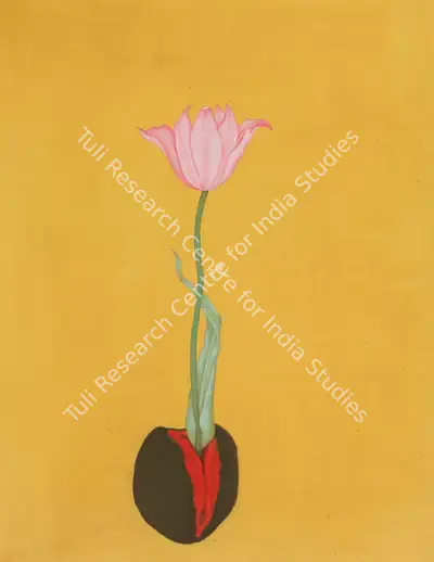 Muhammed Zeeshan (Artist), Untitled, 2008, Painting