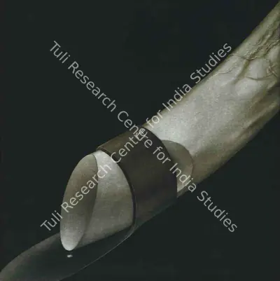 Rameshwar Broota (Artist), Untitled, 2005, Painting