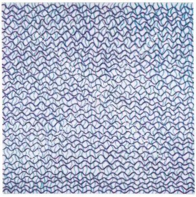 Shobha Broota (Artist), Orchestra I, 2003, Painting