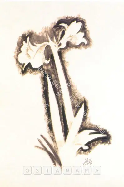 N.S. Bendre (Artist), Lily, 1988, Painting