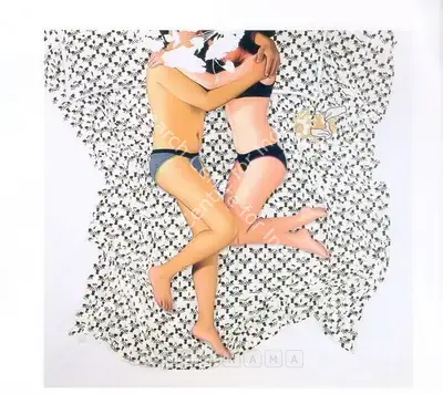 Jiten Thukral (Artist), I Like My Man Covered Too, 2006, Painting