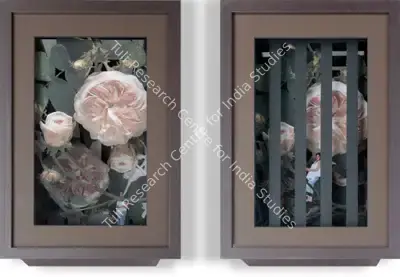 Hema Upadhyay (Artist), I Live In A Match Box, 2008, Installation