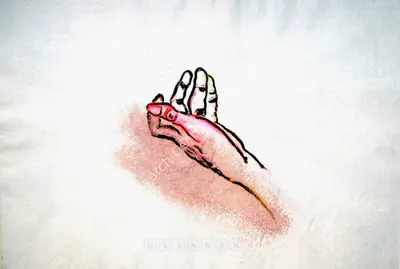 Mithu Sen (Artist), Thumb, 2006, Painting