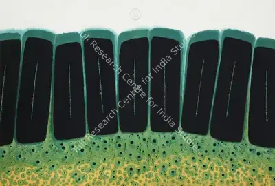 Sohan Qadri (Artist), Untitled, 1995, Painting