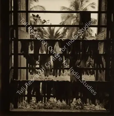 Dayanita Singh (Artist), Sundarba Gloves, 2006, Print