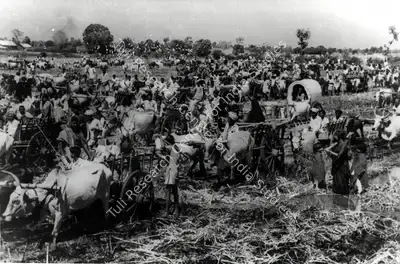 Faredoon A. Irani (Cinematographer), Mother India, 1957, Photographic Still