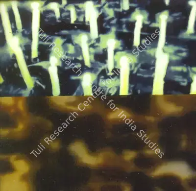 T.V. Santhosh (Artist), Healing, 2003, Painting