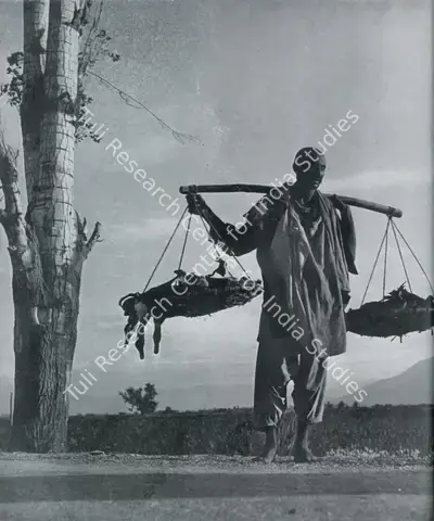 R.R. Bharadwaj (Photographer), The Dead Duck, Contemporary Photograph