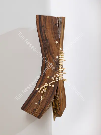 Ranjani Shettar (Artist), Remanence from Last Night's Dream, 2011, Sculpture