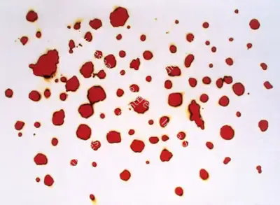 A. Balasubramaniam (Artist), Untitled, 2002, Drawing