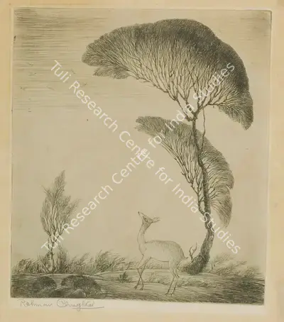 M.A.R. Chughtai (Artist), Untitled (Deer Under Tree), Graphic Art