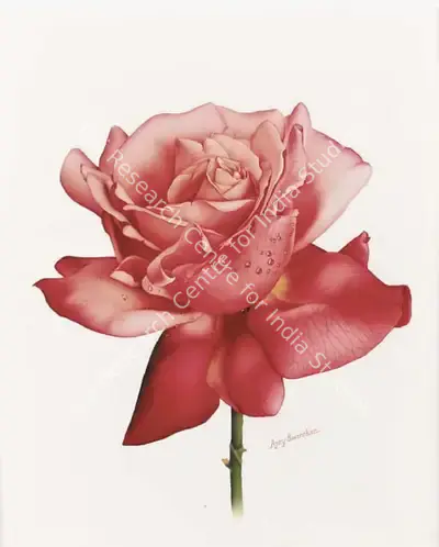 Ajay Swarnkar (Artist), Pink Rose, Painting
