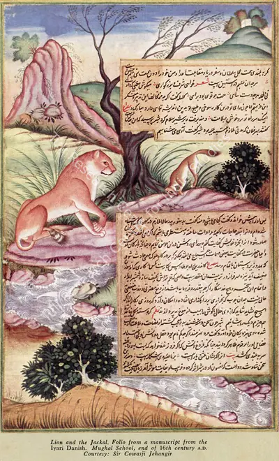 Unknown (Artist), Lion and the Jackal. Folio from a manuscript from the Iyarii Danish. Mughal School, 1590, Painting