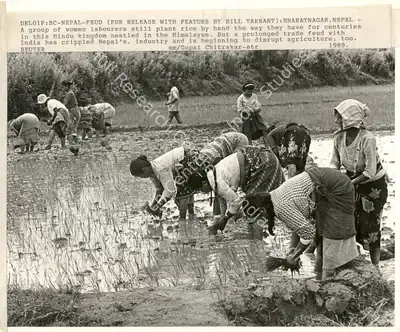 Gopal Chitrakar (Photographer), Del01F: Bc - Nepal - Feud (For Release With Feature By Bill Tarrant): Bharatnagar, Nepal, 1989, Contemporary Photograph