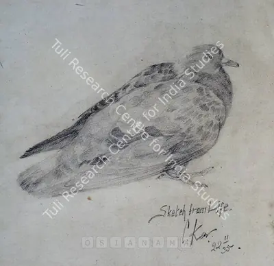 Chintamoni Kar (Artist), Bird, 1935, Drawing