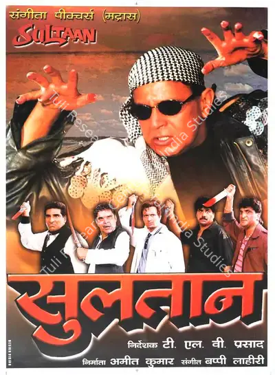 Amit Kumar (Producer), Sultaan, 2000, Full Sheet Poster