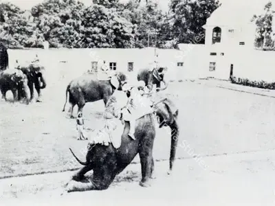 Krishen Khanna (Photographer), People and Elephants Posed for the Painting, 1940, Contemporary Photograph