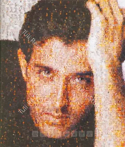 Rashid Rana (Artist), Ommatidia I (Hritik Roshan), 2004, Print