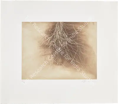 Anish Kapoor (Artist), Fifteen Etchings: Plate 12, 1994, Graphic Art