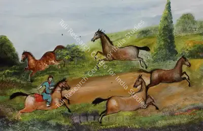 Tasadduq Sohail (Artist), A Rider Lassooing Horses, Painting