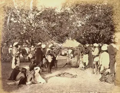Willoughby Wallace Hooper (Photographer), Tiger Hunt, 1870, Antiquarian Photograph