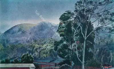 Venkatappa (Artist), Landscape, Ootacamund, 1917, Painting