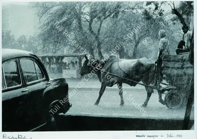 Raghu Rai (Photographer), Monsoon In Delhi, 1985, Contemporary Photograph