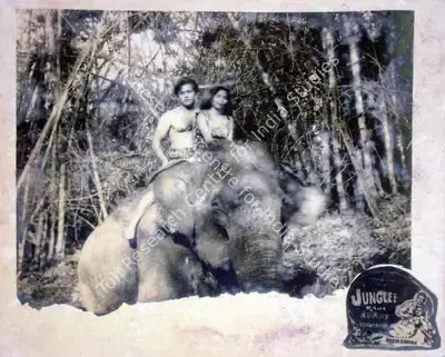Vishwanath (Producer), Junglee Raja, 1963, Lobby Card