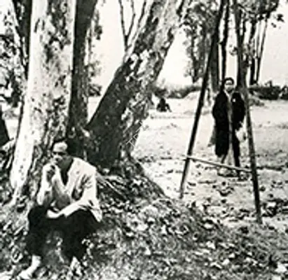 Kanchanjungha 1962