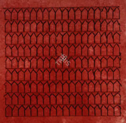 Zarina Hashmi