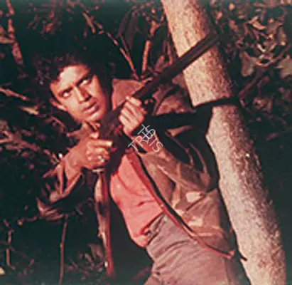The Naxalites 1979