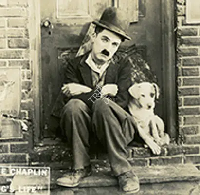 A Dog's Life 1918