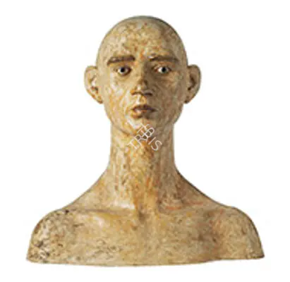 Dhruva Mistry