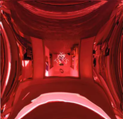 Anish Kapoor
