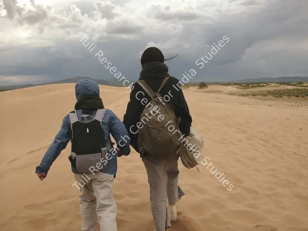 Desert Dream