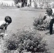 Pikoo 1980