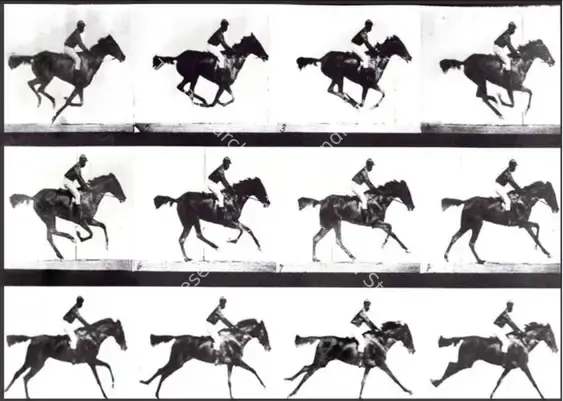 Muybridge, Eadweard (Director), The Horse in Motion, 1878 | Photographic Still | CinemaEducation | 00457671