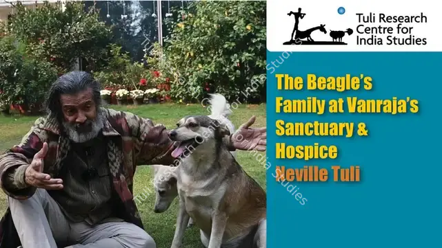 Tuli Research Centre for India Studies (Editor). The Beagle's Family at Vanraja's Sanctuary & Hospice: Neville Tuli, 25 February 2025 | In-house Video | Continuum | 00876558