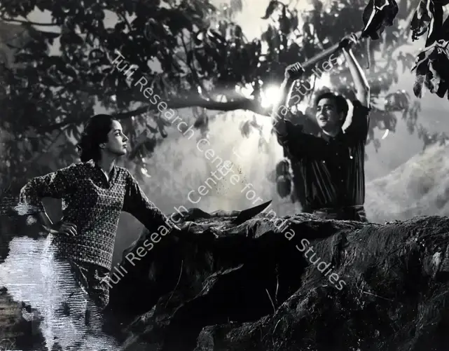 Kapadia, K.H. (Cinematographer), Yeh Rastey Hain Pyar Ke, 1963 | Photographic Still | CinemaEducation | 00888430