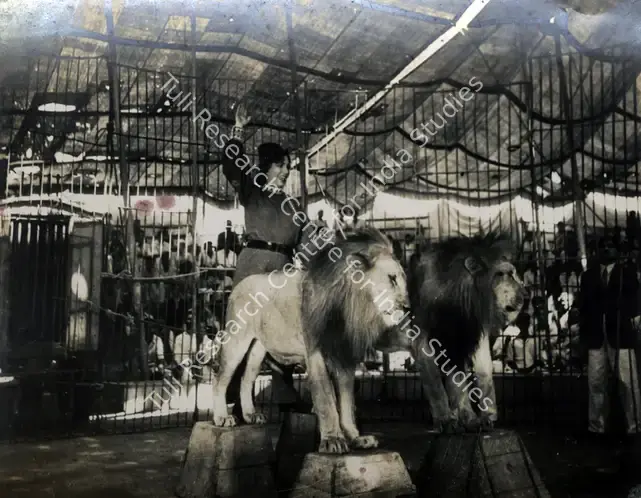 Wadadeker, Anant (Cinematographer), Circuswale, 1950 | Photographic Still | CinemaEducation | 00884766