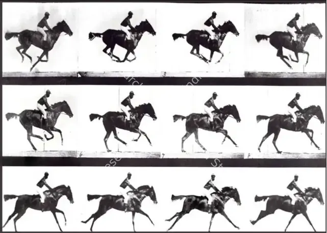Muybridge, Eadweard (Director), The Horse in Motion, 1878 | Photographic Still | CinemaEducation | 00457671