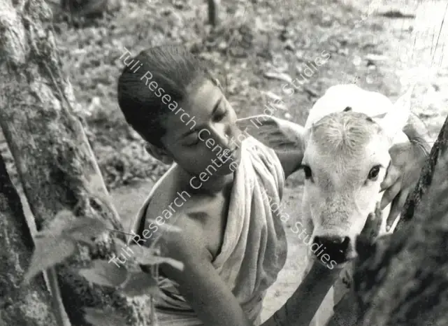 Mitra, Subrata (Cinematographer), Pather Panchali, 1955 | Photographic Still | CinemaEducation | 00891351