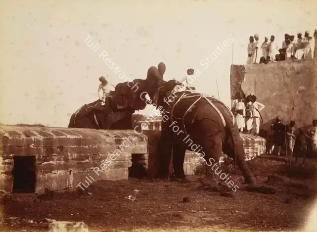 Dayal, Lala Deen (Photographer). Elephant fight at Odeypur - From the album 'Views in Meywar' By Lala Deen Dayal Indore. Albumen print pasted on mount, c.1890 | Antiquarian Photograph | Photography | 00115140