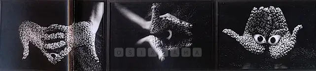 Dube, Anita (Artist). Offering. Black and white photography, 2000 | Photograph | FineArts | 00576562