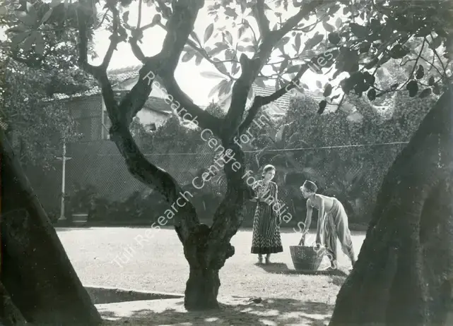 Gidwani, Moti B. (Director), Manjari, 1934 | Photographic Still | CinemaEducation | 00886213