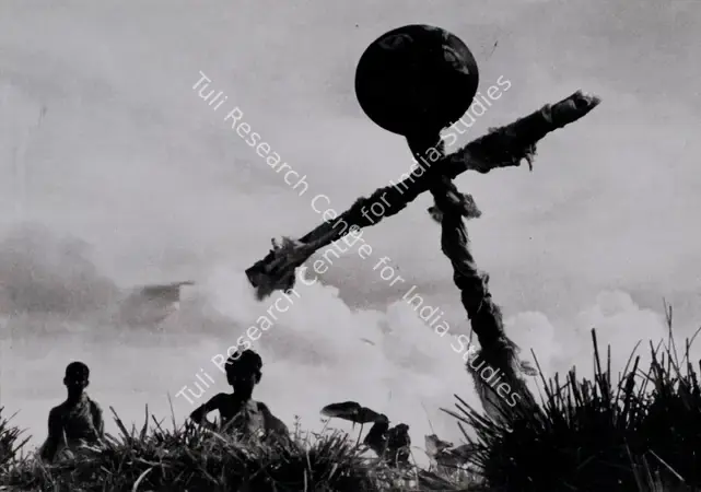 Mitra, Subrata (Cinematographer), Pather Panchali, 1955 | Photographic Still | CinemaEducation | 00891352