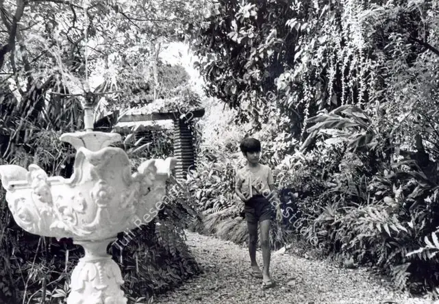Roy, Soumendu (Cinematographer), Pikoo, 1980 | Photographic Still | CinemaEducation | 00891368