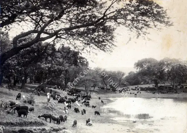Vakil, Madanrai (Director), Noor E Iman, 1933 | Photographic Still | CinemaEducation | 00886751