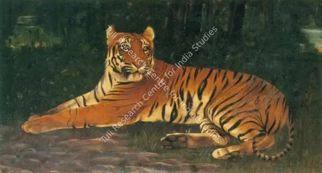 Muller, A.H. (Artist). Tiger. Oil on masonite, n.d. | Painting  | 00877663
